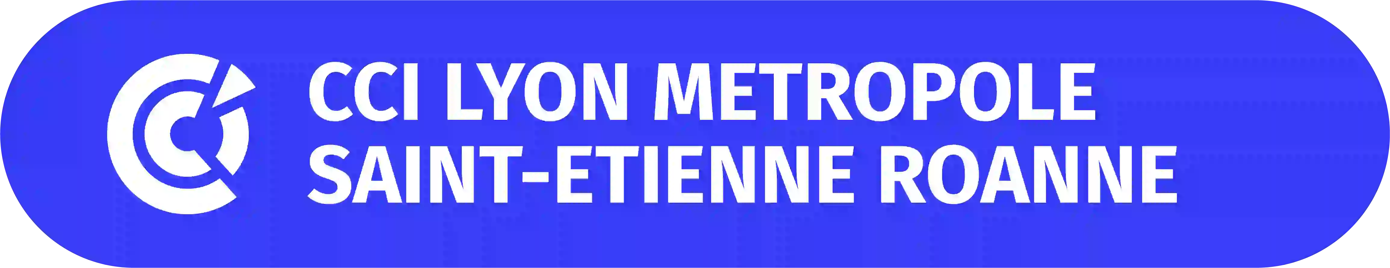 CCI Lyon Métropole Saint-Étienne Roanne